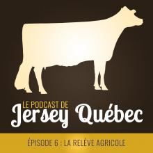Un nouvel épisode du podcast de Jersey Québec est maintenant disponible. 